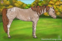 Horse Color:Chestnut Ice 