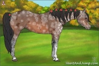 Horse Color:Bay Ice 