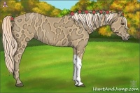 Horse Color:Palomino Ice 