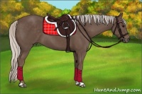 Horse Color:Silver Black 