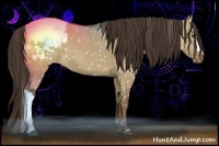 Horse Color:Liver Red Dun Snowcap 