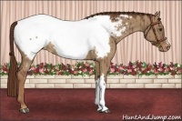 Horse Color:Red Dun Near Fewspot Brindle 