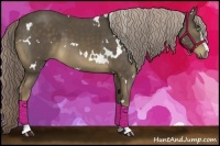 Horse Color:White Spotted Chocolate Palomino Sabino 