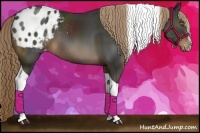 Horse Color:Liver Chestnut Sabino Tobiano Appaloosa 