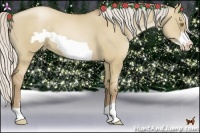 Horse Color:Silver Grullo Pearl Frame 