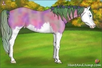 Horse Color:Nacre Watercolor Bay Sabino Splash