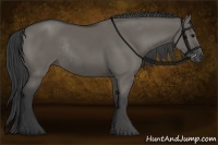 Horse Color:Grullo Rabicano 