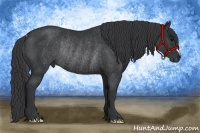 Horse Color:Black Rabicano 