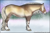 Horse Color:Liver Red Onyx Rabicano 