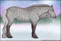Horse Color:Chocolate Silver Brown Chinchilla Ice