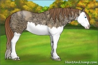 Horse Color:Bay Ice Pearl Dun Splash 