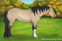 Horse Color:Bay Dun Rabicano 
