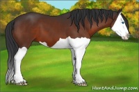 Horse Color:Brown Splash 