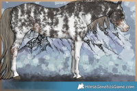 Horse Color:Liver Chestnut Mushroom Sabino 