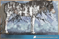 Horse Color:Liver Chestnut Mushroom Sabino 