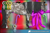 Horse Color:White Spotted Grullo Brindle 