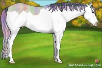 Horse Color:Nacre Watercolor Red Dun Splash 