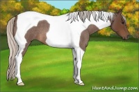 Horse Color:Silver Brown Roan Tobiano