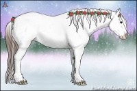 Horse Color:Brown Appaloosa