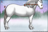 Horse Color:Brown Appaloosa