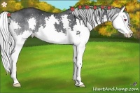 Horse Color:Silver Black Chinchilla Splash Rabicano