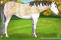 Horse Color:Nacre Bay Ice Dun Splash 