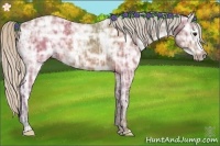 Horse Color:Silver Bay Ice 