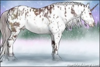 Horse Color:White Spotted Chocolate Silver Brown Chinchilla Appaloosa  and White Spotted Chocolate Brown Chinchilla Appaloosa 