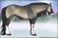 Horse Color:Blue Onyx