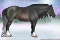 Horse Color:Brown Sabino