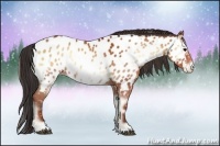 Horse Color:Brown Onyx Near Leopard 