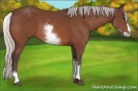 Horse Color:White Spotted Silver Bay Splash 