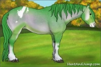 Horse Color:Watercolor Bay Onyx Appaloosa 