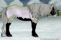 Horse Color:Watercolor Liver Red Onyx Roan Splash 