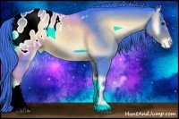 Horse Color:Watercolor Liver Red Onyx Appaloosa 