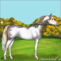 Horse Color:Watercolor Chestnut Splash Frame