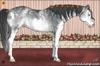 Horse Color:White Spotted Brown Chinchilla Splash Rabicano 