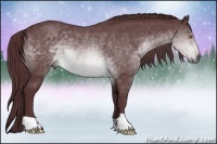 Horse Color:Chocolate Brown Chinchilla 