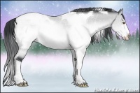 Horse Color:Brown Chinchilla Sabino Tobiano Rabicano 