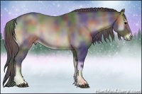 Horse Color:Nacre Blue Onyx Rabicano 