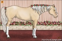 Horse Color:Silver Bay Pearl Dun