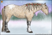 Horse Color:Buckskin Snowflake Varnish