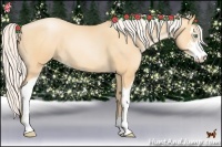 Horse Color:Silver Amber Champagne Pearl Sabino