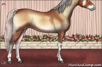 Horse Color:Silver Brown Onyx 