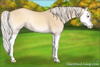 Horse Color:Silver Classic Champagne Onyx Splash