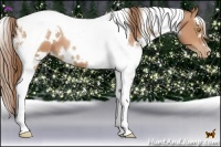 Horse Color:White Spotted Bay Pearl Tobiano 