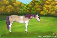 Horse Color:Painted White Spotted Bay Dun