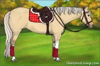 Horse Color:Silver Bay Dun 