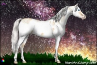 Horse Color:White Spotted Silver Amber Champagne Dun Splash Frame