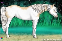 Horse Color:Silver Sable Champagne Dun Splash Frame 